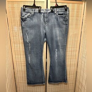 Firefly Denim BootCut Jeans Women’s